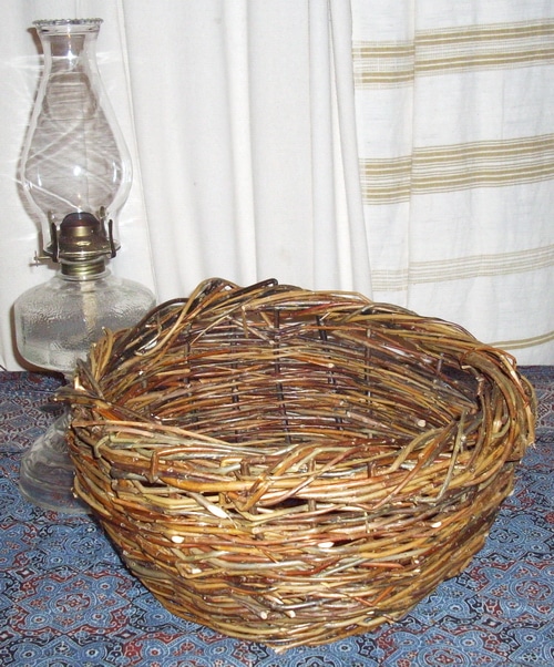 Willows for your homestead