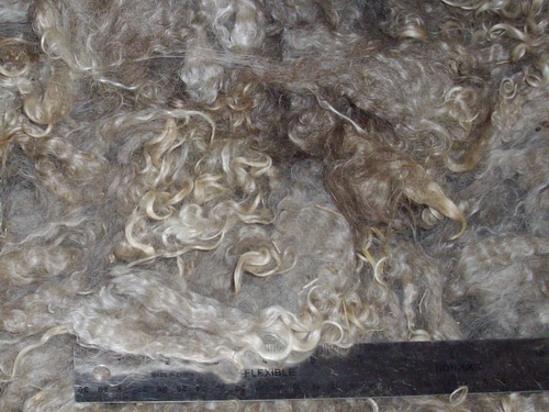 Kisses fleece