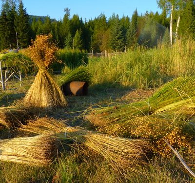 Why you need to be at the Joybilee Farm Linen Festival on August 6