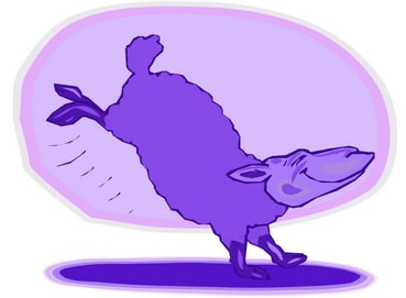 Purple Sheep_001