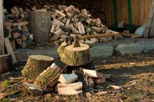 firewood