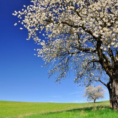 A Dozen Ways to be More Resilient on a Budget