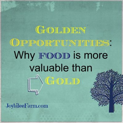 Golden opportunities — why food is more valuable than gold