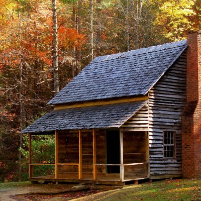 6 Newbie Homestead Mistakes You Can Avoid