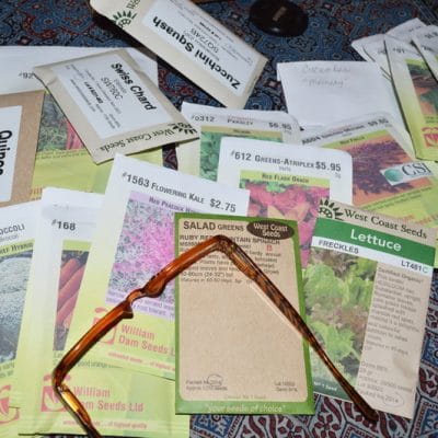 12 Ways to Prevent a Seed Shortage While We Welcome New Gardeners