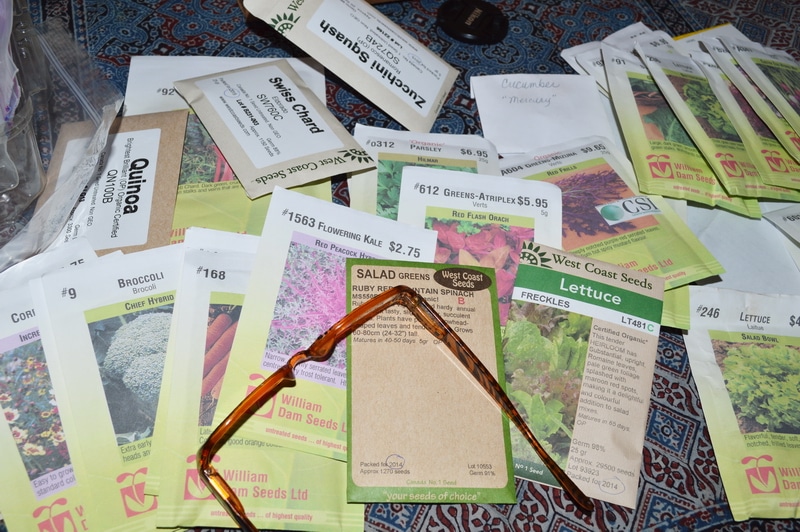 vegetable seeds