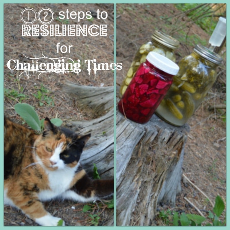 12 steps to Resilience for challenging times
