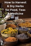 Dried herbs in bowls by a mortar and pestle