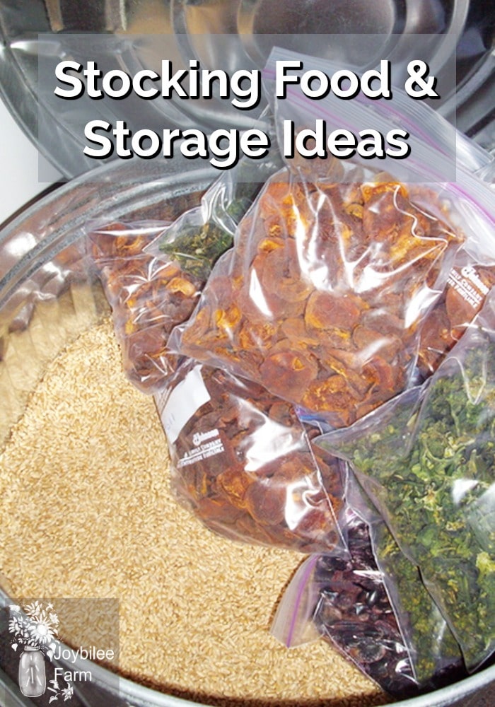 A bunch of food in zip lock bags and a big container of wheat berries.