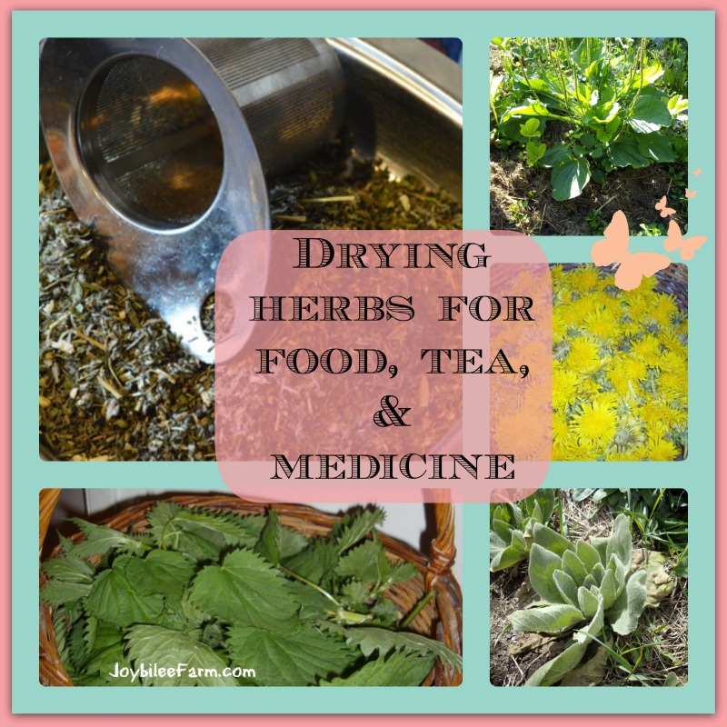 photo collage of drying herbs