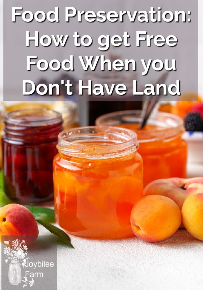 Multiple jars of colourful jams