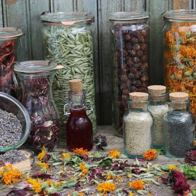 How to Harvest and Dry Herbs