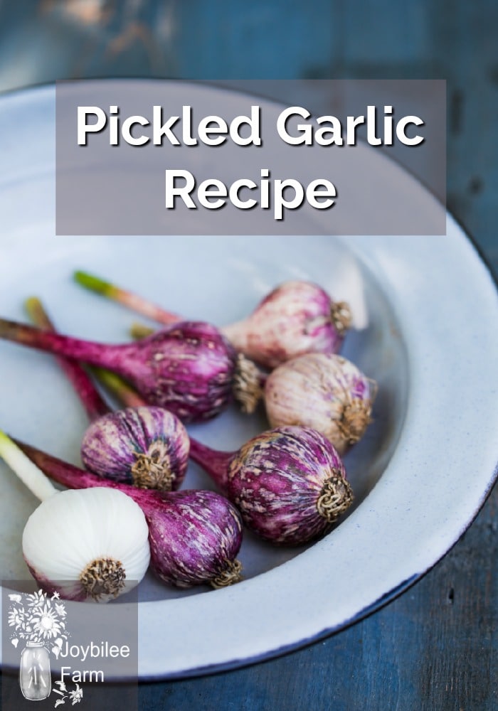 Garlic on a plate