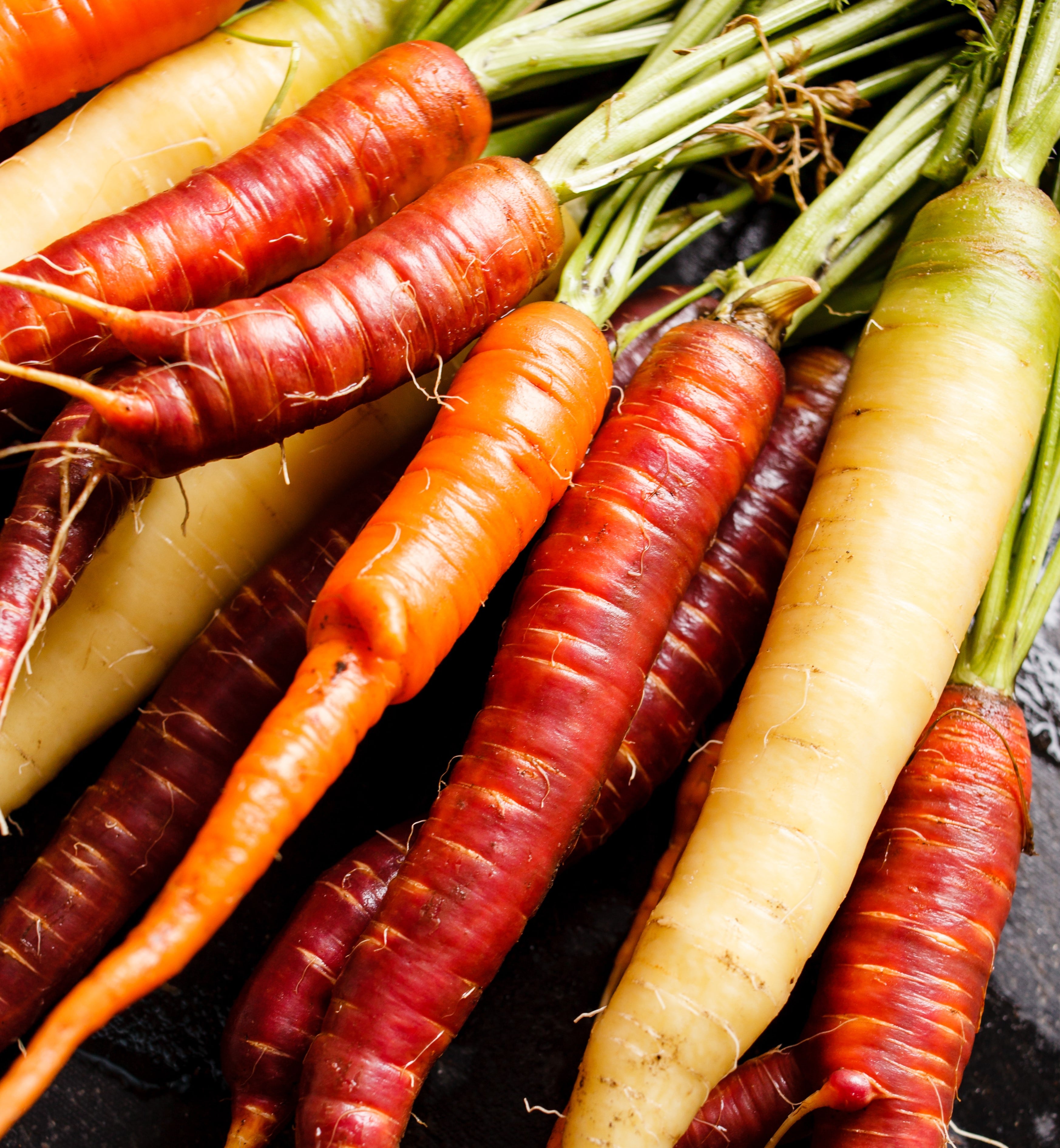 Food Preservation - Joybilee® Farm | DIY | Herbs | Gardening