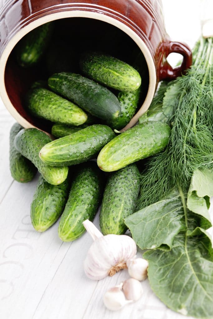 A pile of cucumbers lying beside dill leaves and fresh garlic