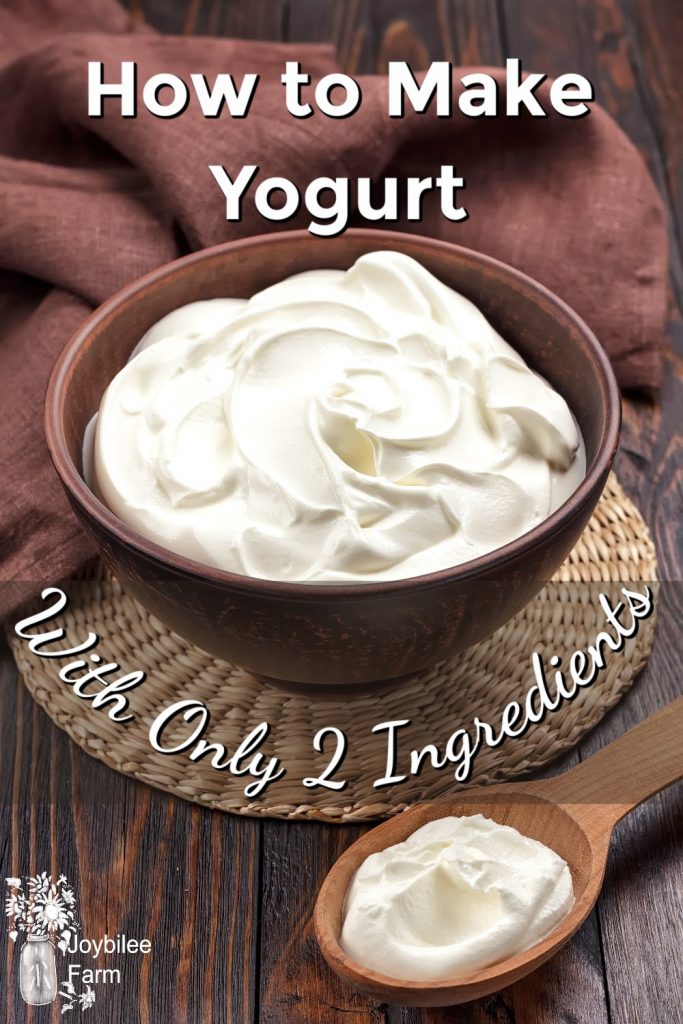 Yogurt