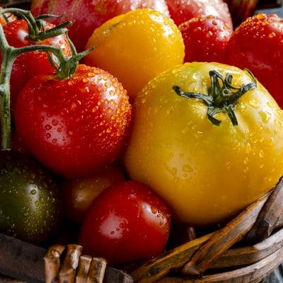 How to Save Tomato Seeds in 7 Easy Steps