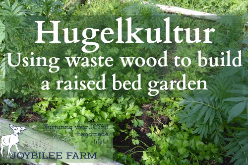 young plants growing in a hugelculture bed - Hugelcultur is an ancient form of composting that utilizes woody waste as the carbon substrata, to retain soil moisture and soil fertility. You can utilize the principles of hugelcultur by simply burying wood waste throughout your yard and garden, in order to increase the moisture holding capacity and fertility of your soil. It breaks down slowly over several seasons. A hugelcultur raised bed is a garden in its own right. It can be any size or shape that you wish, although most hugelcultur raised beds are rectangular.