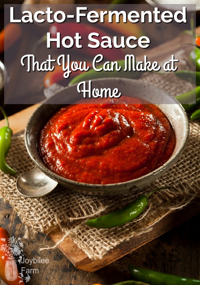 Lacto-Fermented Hot Sauce That You Can Make at Home