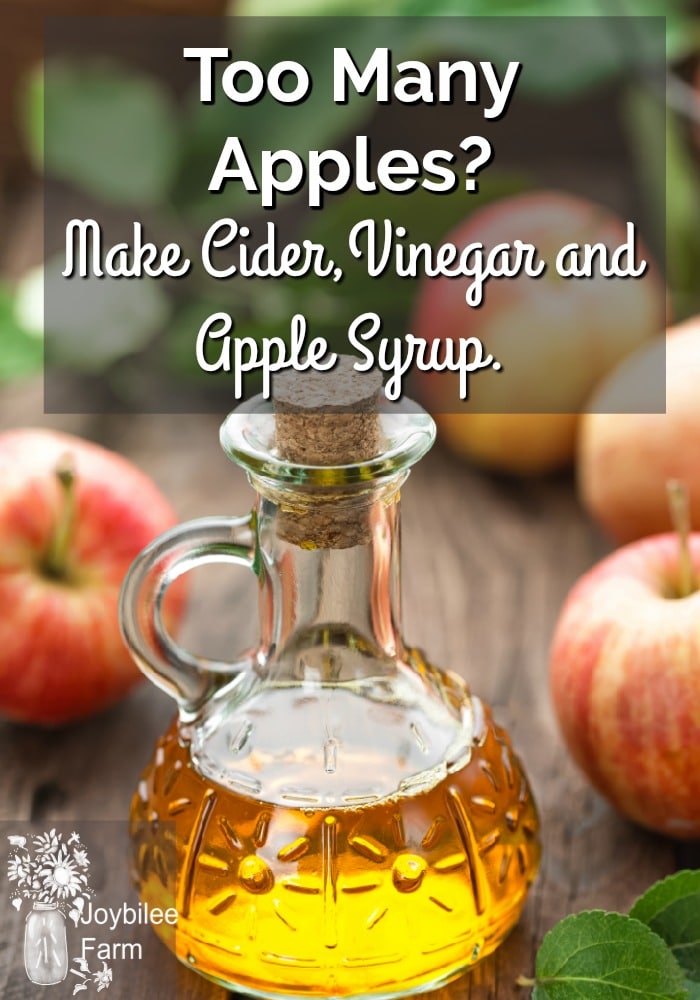 A bottle of apple vinegar and fresh apples on a table