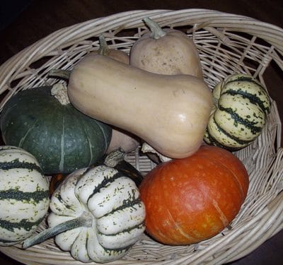Occupy your Homestead and Change your Community for the Better