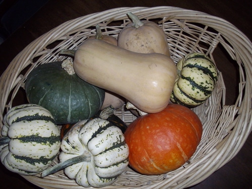 squash in a basket