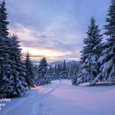 Avoiding Winter Injuries on the Homestead for a Safer Winter