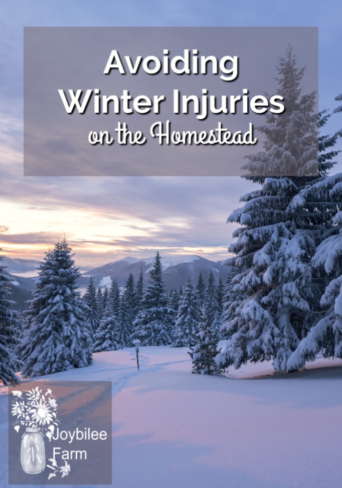 winter scene on the homestead with the text overlay - Avoiding winter Injuries on the Homestead