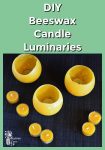 Beeswax Candle Luminaries