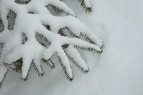 Miracles along the road — It was a dark and snowy night