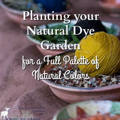 Planting your Natural Dye Garden for a Full Palette of Natural Colours