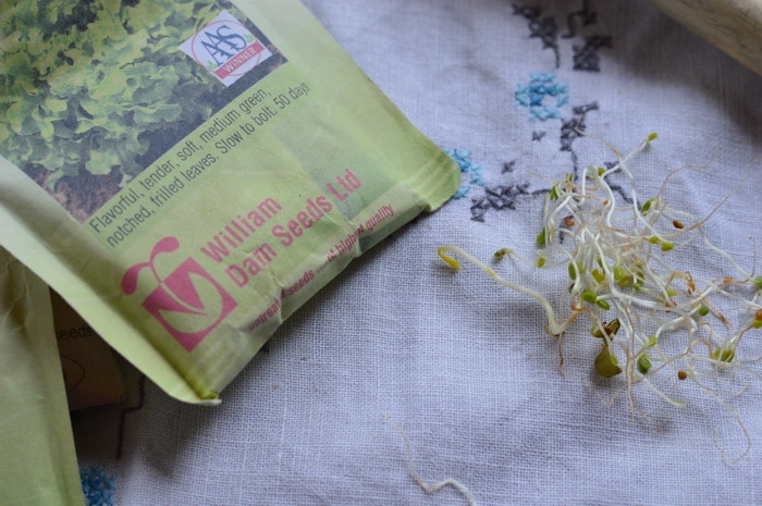 Before you make that seed order this year, pull out all of your seed packages from last year. Do a germination test to see if your seed is viable. Your seed has a shelf life. Average shelf life though can vary significantly. For instance, corn has a shelf life of 1 year according to expert opinion. However, I've done germination tests on 10 year old corn seed and found that it was still viable, at a 90% germination rate. You don't know until you've done your own germination test of the seed you have whether you need to replace it with fresh or whether you'll get another growing season from it.