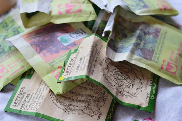 Before you make that seed order this year, pull out all of your seed packages from last year. Do a germination test to see if your seed is viable. Your seed has a shelf life. Average shelf life though can vary significantly. For instance, corn has a shelf life of 1 year according to expert opinion. However, I've done germination tests on 10 year old corn seed and found that it was still viable, at a 90% germination rate. You don't know until you've done your own germination test of the seed you have whether you need to replace it with fresh or whether you'll get another growing season from it.