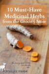 10 Must-Have Medicinal Herbs from the Grocery Store