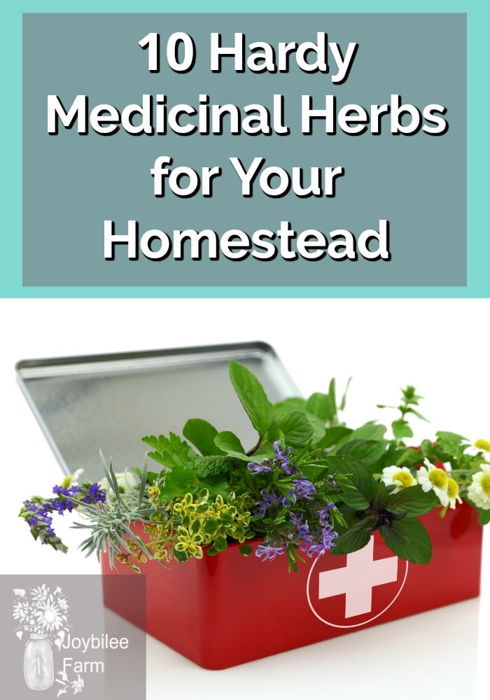 a red tin box with a white medical cross, peaking out of the top of the box are sprigs of several herbs