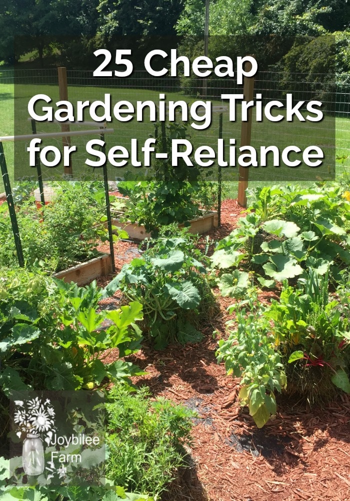 image of a garden of vegetable plants, overlaid with the text 25 Cheap Gardening Tricks for Self-Reliance