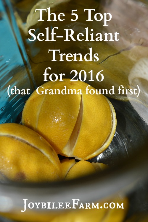 Top-5-Self-reliant-trends