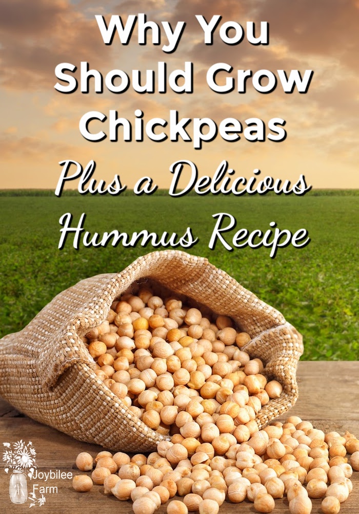 chickpeas