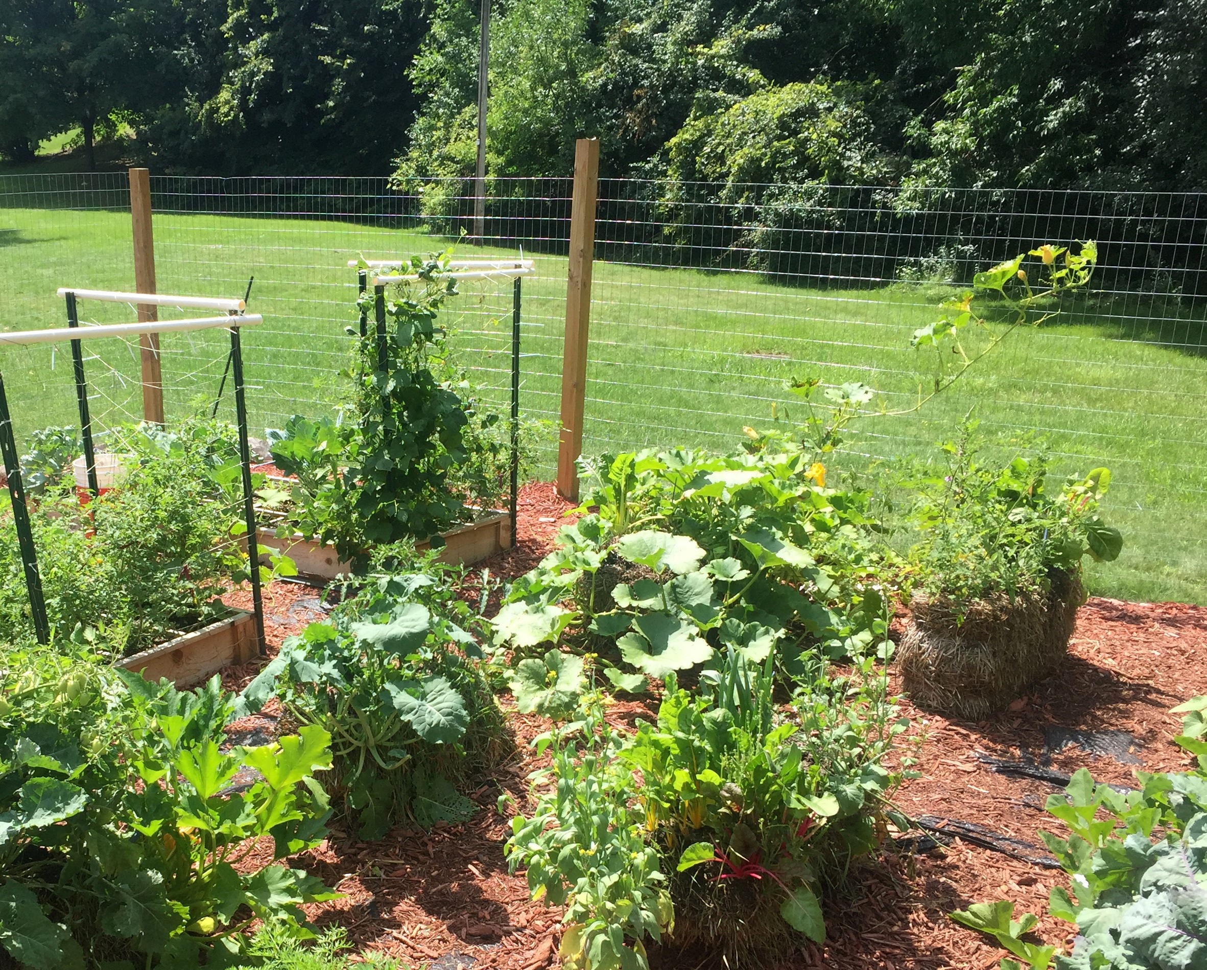 prepare for challenging times by growing your own food