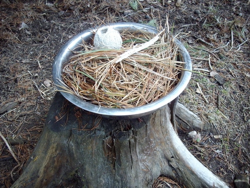 Pine needle basket beginnings