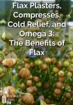 Flax Plasters, Compresses, Cold Relief, and Omega 3: The Benefits of Flax