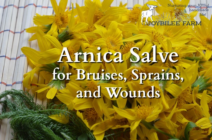 Arnica salve soothes bruises, sprains, and strains. It is a must for your first aid kit, especially if you are active outdoors.