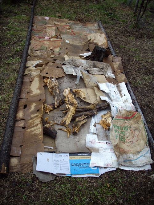 The first layer of the Hugelcultur bed is cardboard and paper. This offers a base and defines the bed. Its optional.