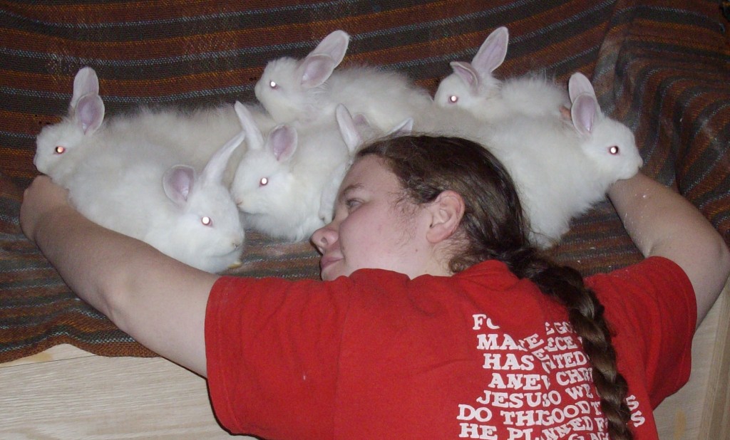 Bunny hugs