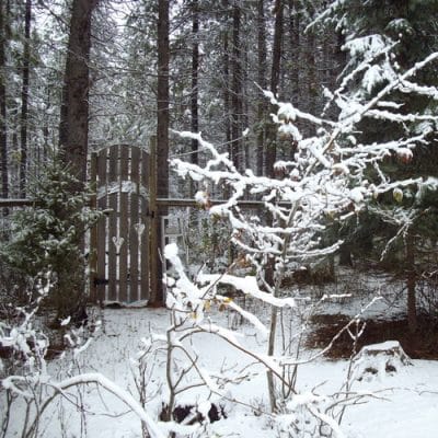 When change rocks your boat and how a homestead can cope