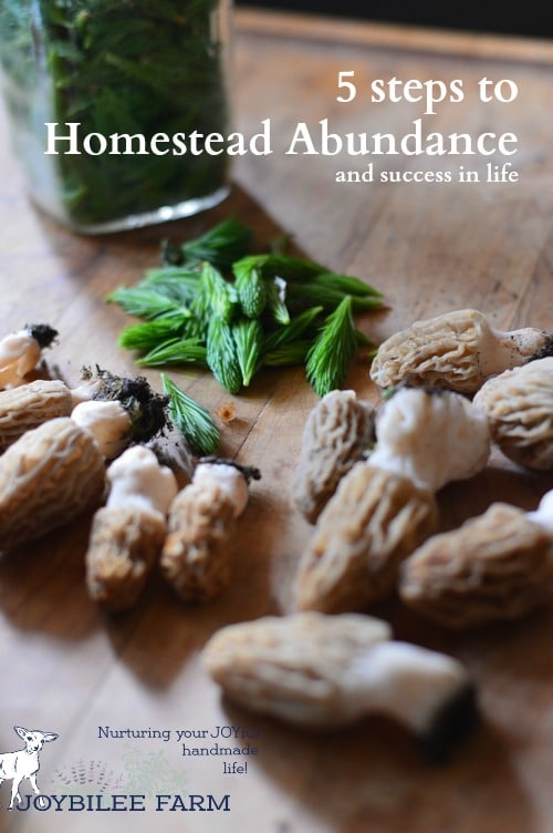 The homestead life can be a lot of hard work. Up early in the morning, staying up late at night. When that hard work doesn't equate to money in the bank, it can be difficult to keep the perspective.