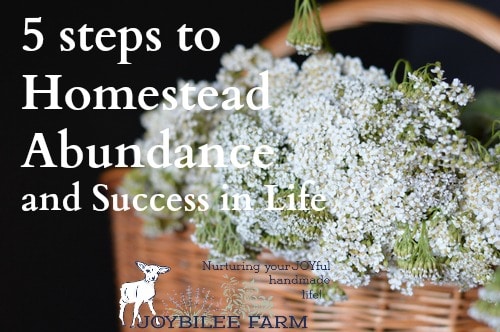 The homestead life can be a lot of hard work. Up early in the morning, staying up late at night. When that hard work doesn't equate to money in the bank, it can be difficult to keep the perspective.