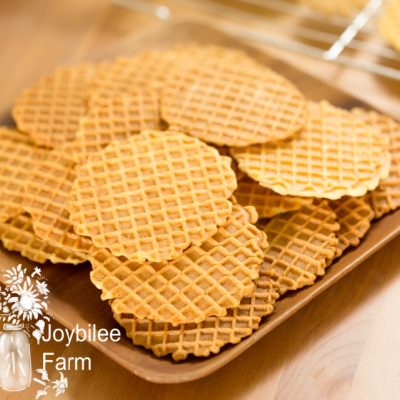 Vanilla Pizzelle Cookie Recipe