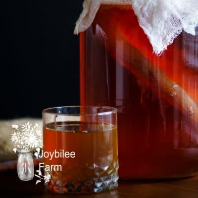 Get These 18 Kombucha Tea Benefits for Pennies a Dose