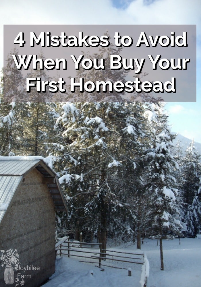 homestead in winter